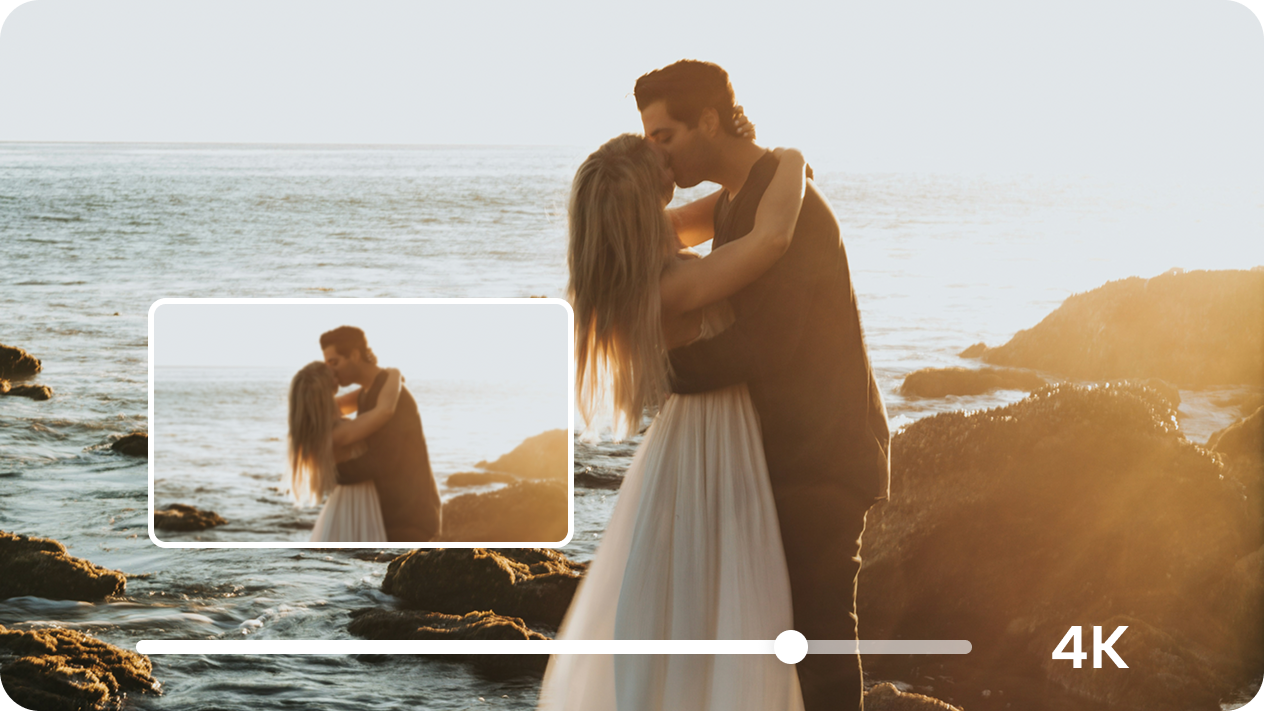 Versatile export and easy sharing options