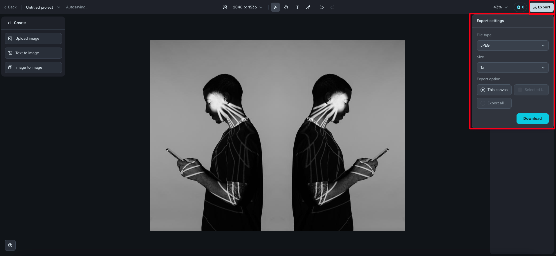 편집된 거울 이미지 다운로드