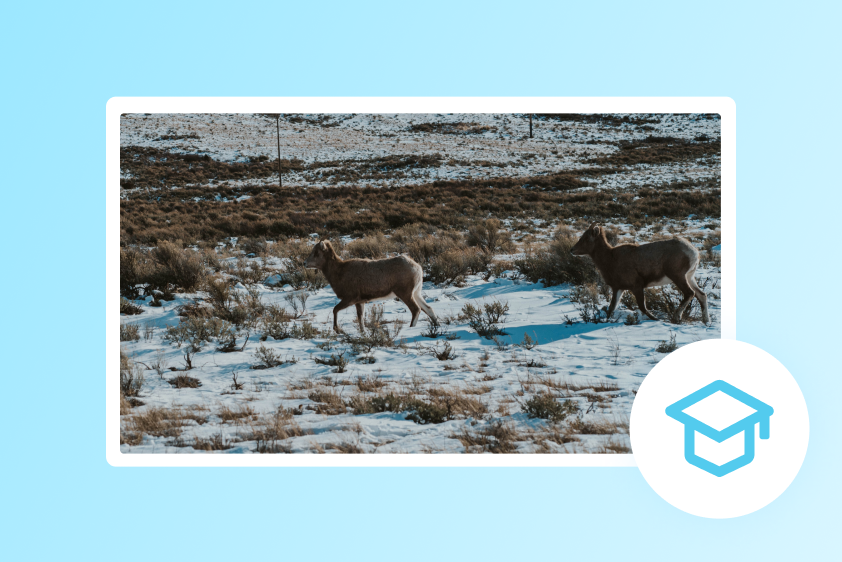 Educational and documentary purposes