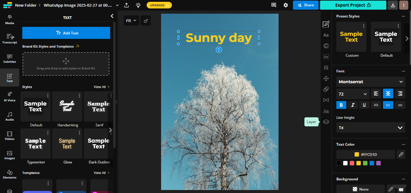 Interface of Kapwing - the excellent tool to write text on pics online for free