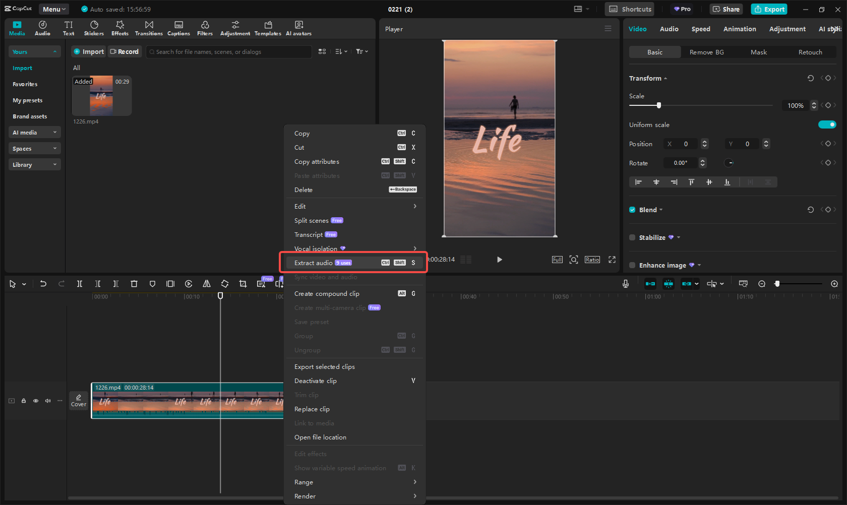 Extract and edit the audio