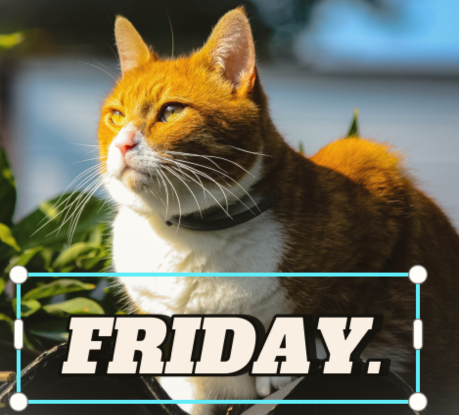 Write text on photos online