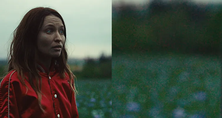 Image noise in a digital photo