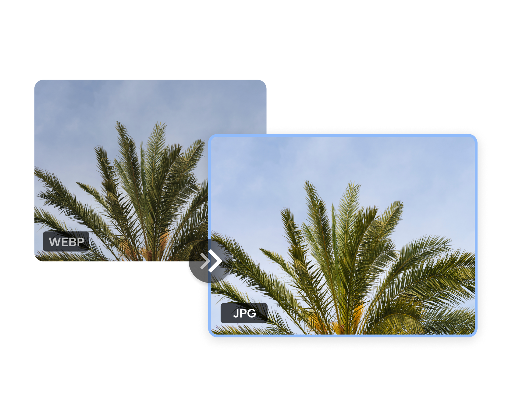 Convert WEBP to JPG Online