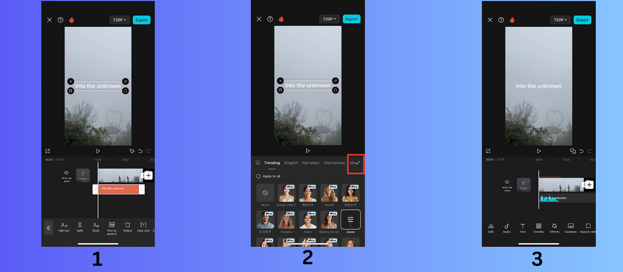 Text-to-Speech anwenden