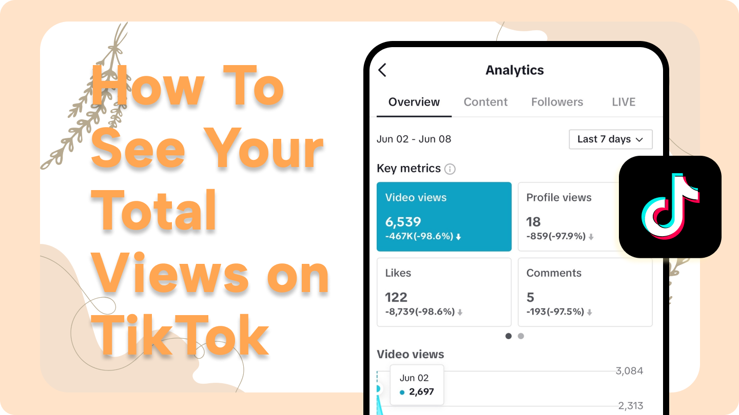 how to see total views on tiktok