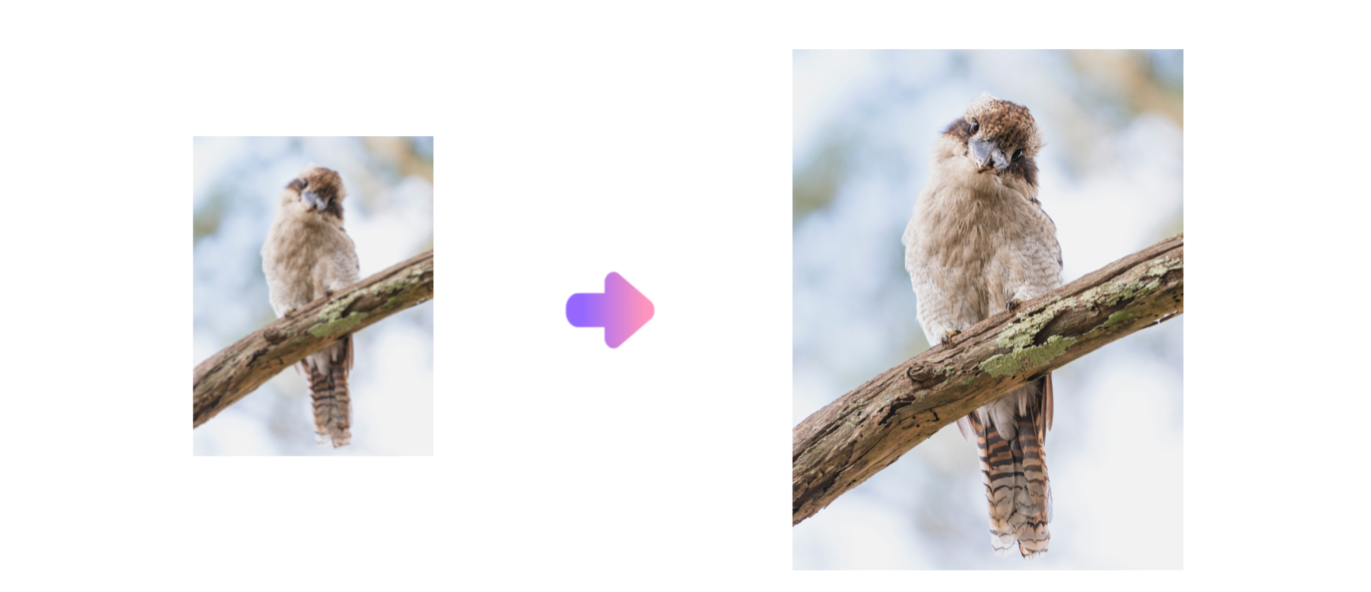 Ilustrație HD de lux