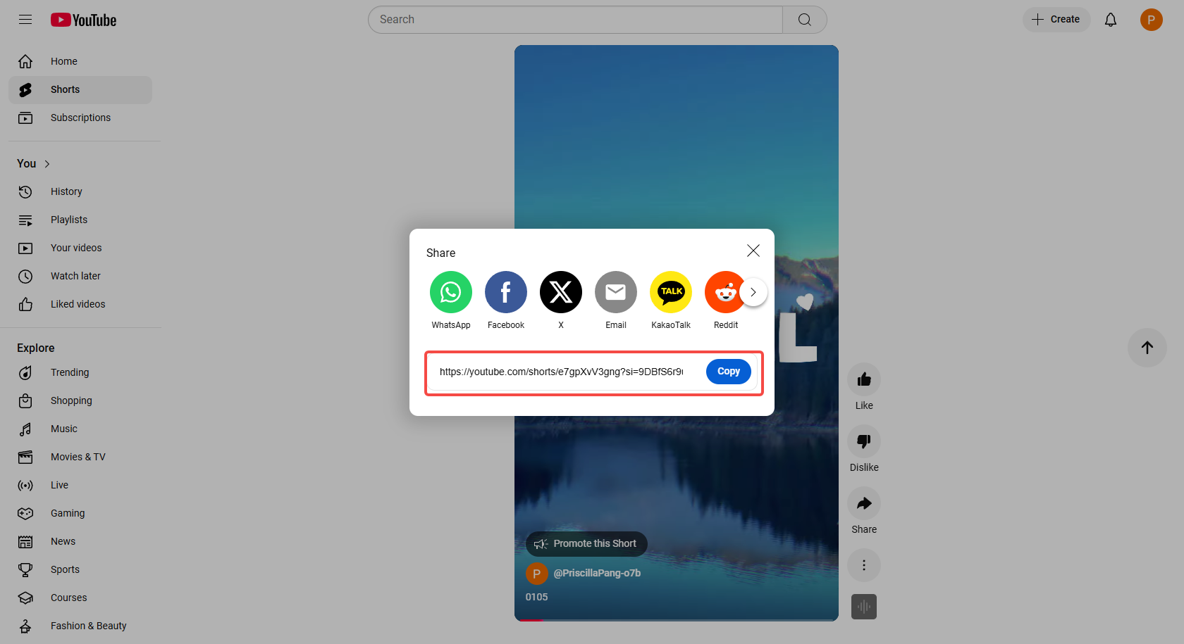 Copy the YouTube video link