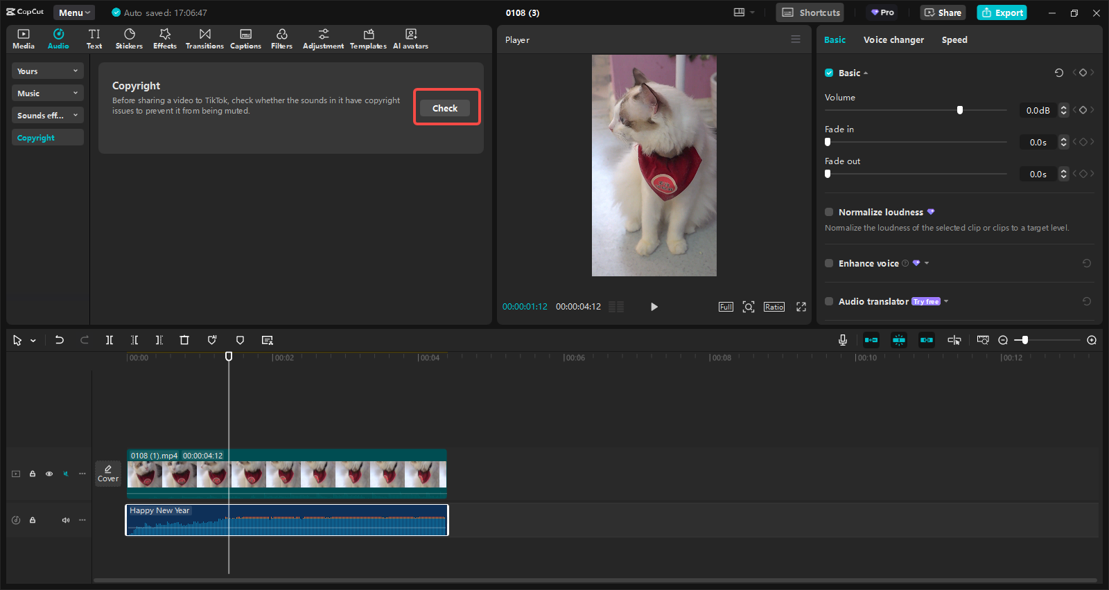 Check the video/audio copyright
