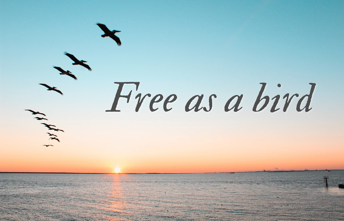 An example of writing text over an image