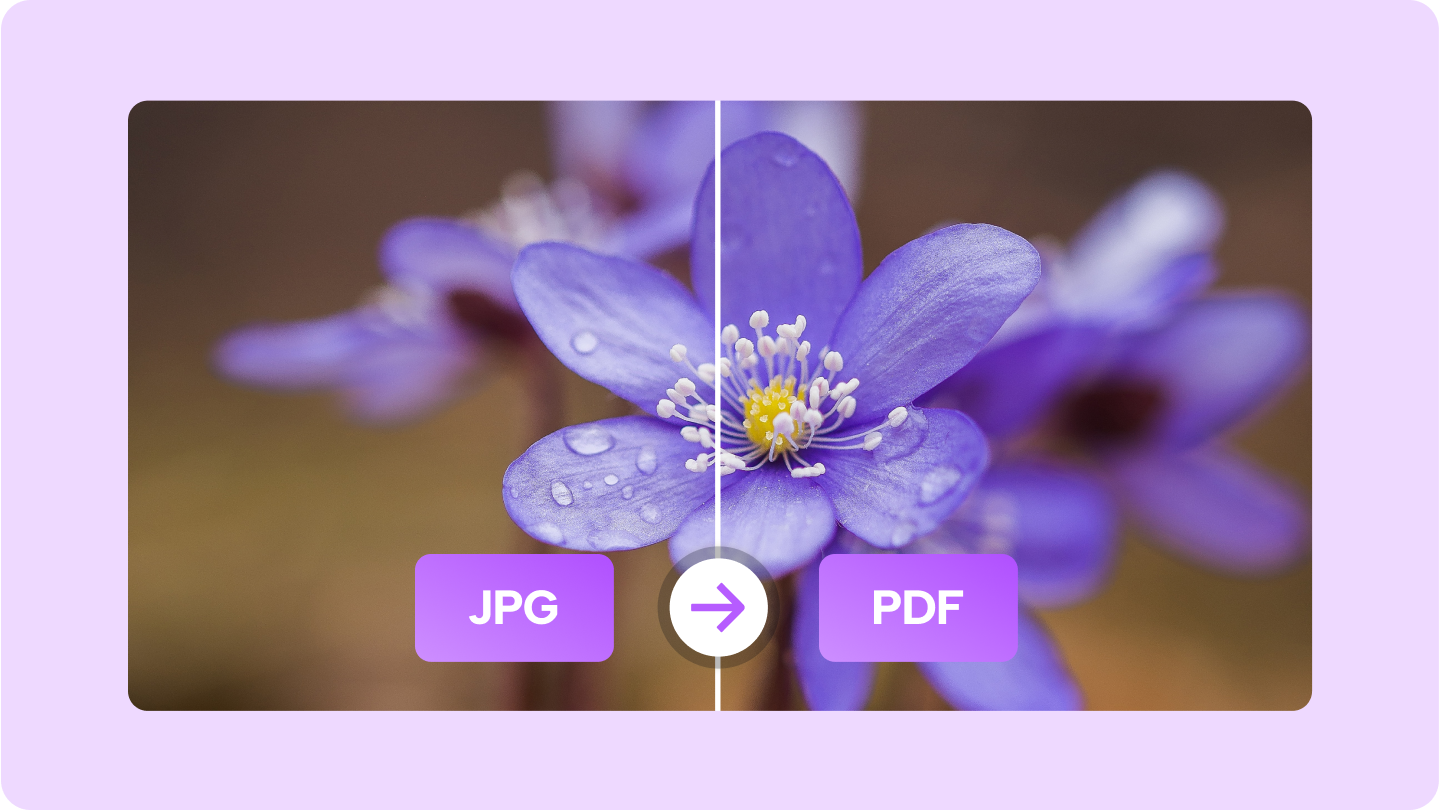 57aa6c2b89ab4f35aa1a407250a8976d~tplv-6rr7idwo9f-image