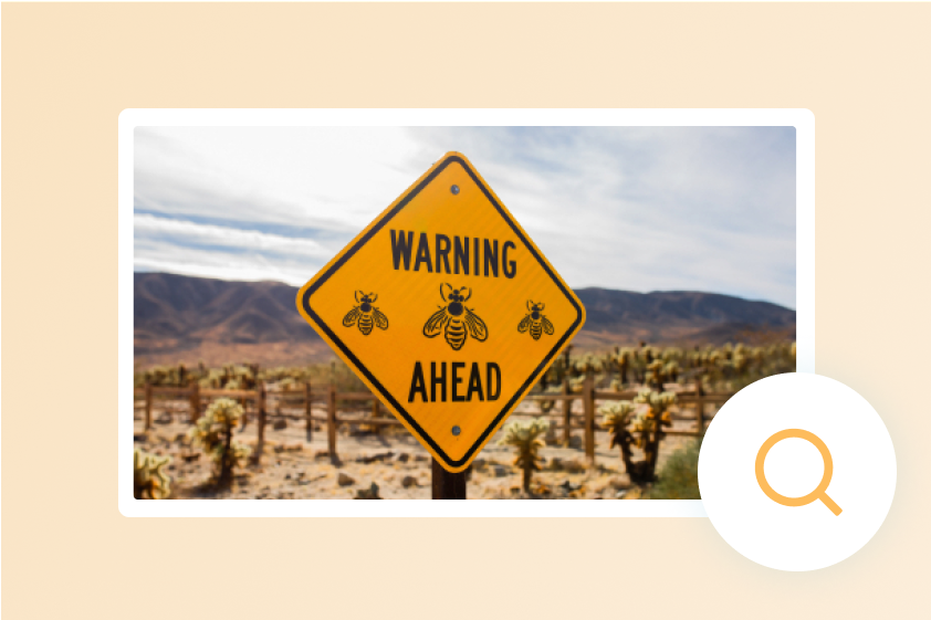 Become an influencer