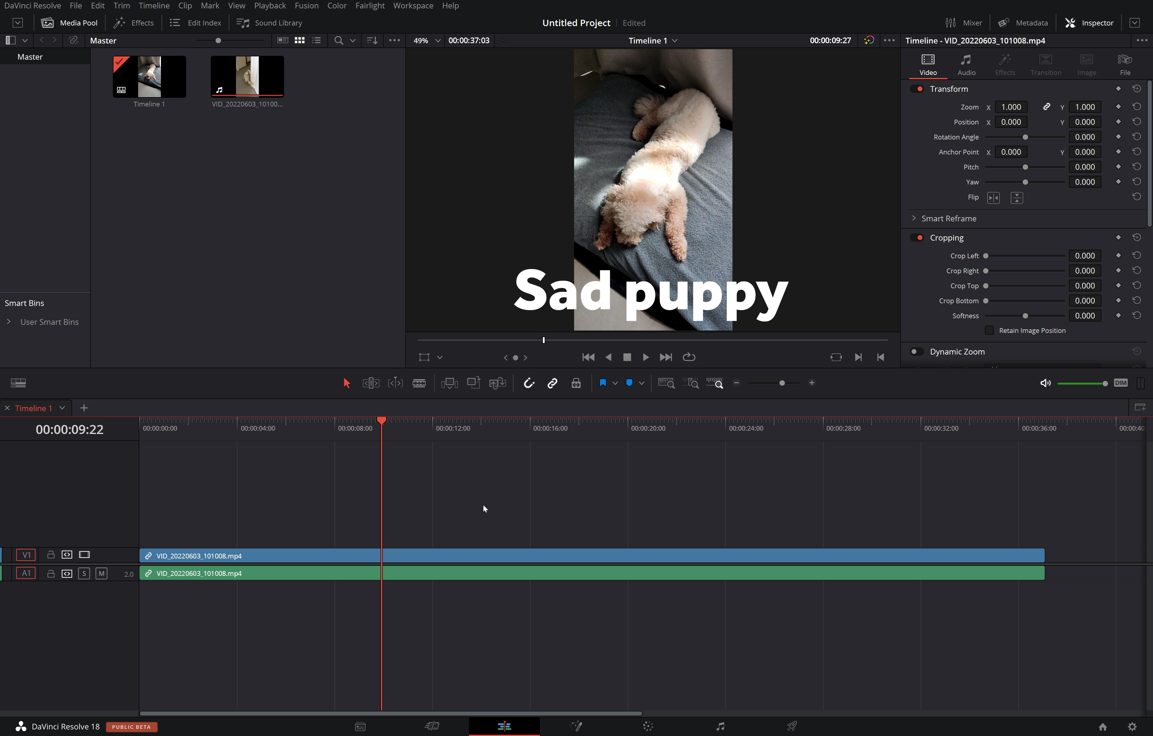 Antarmuka DaVinci Resolve - pembuat gulungan Instagram gratis untuk konten yang menarik