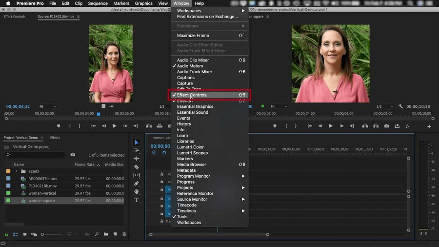 Interface of the Adobe Premiere Pro - the best free YouTube Short maker