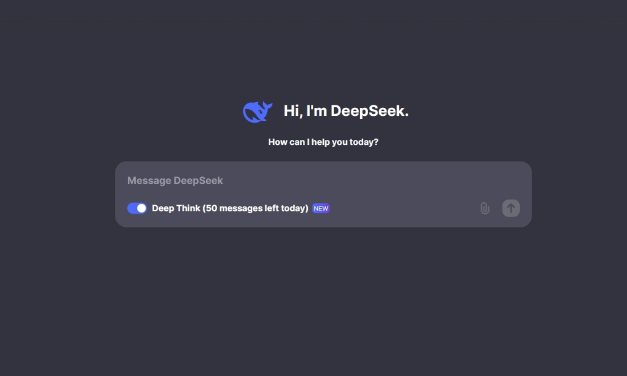 Starting a conversation with DeepSeek AI chatbot