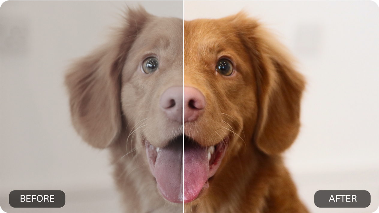 Add music to your current product video to attract more audience