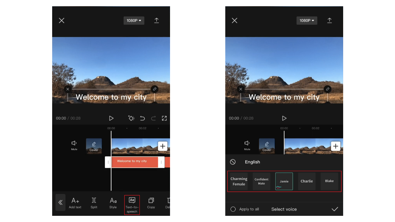 Text to speech option