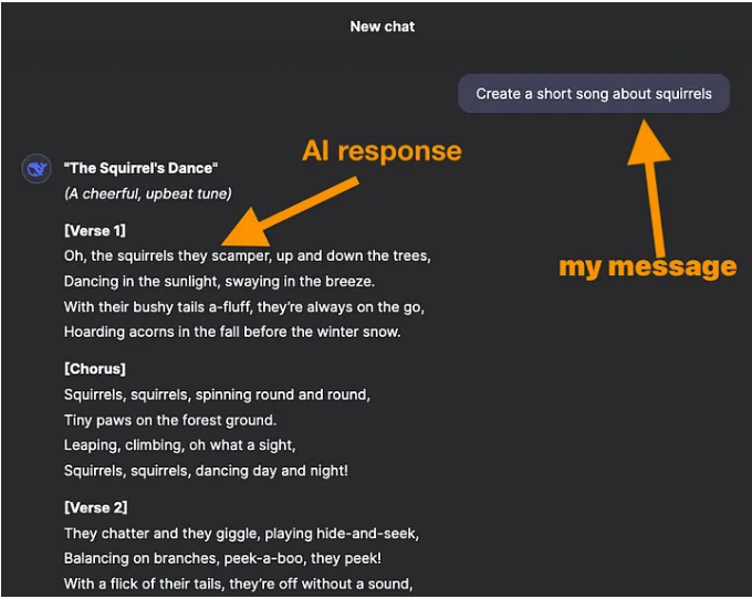 Showing how to use DeepSeek AI chatbot