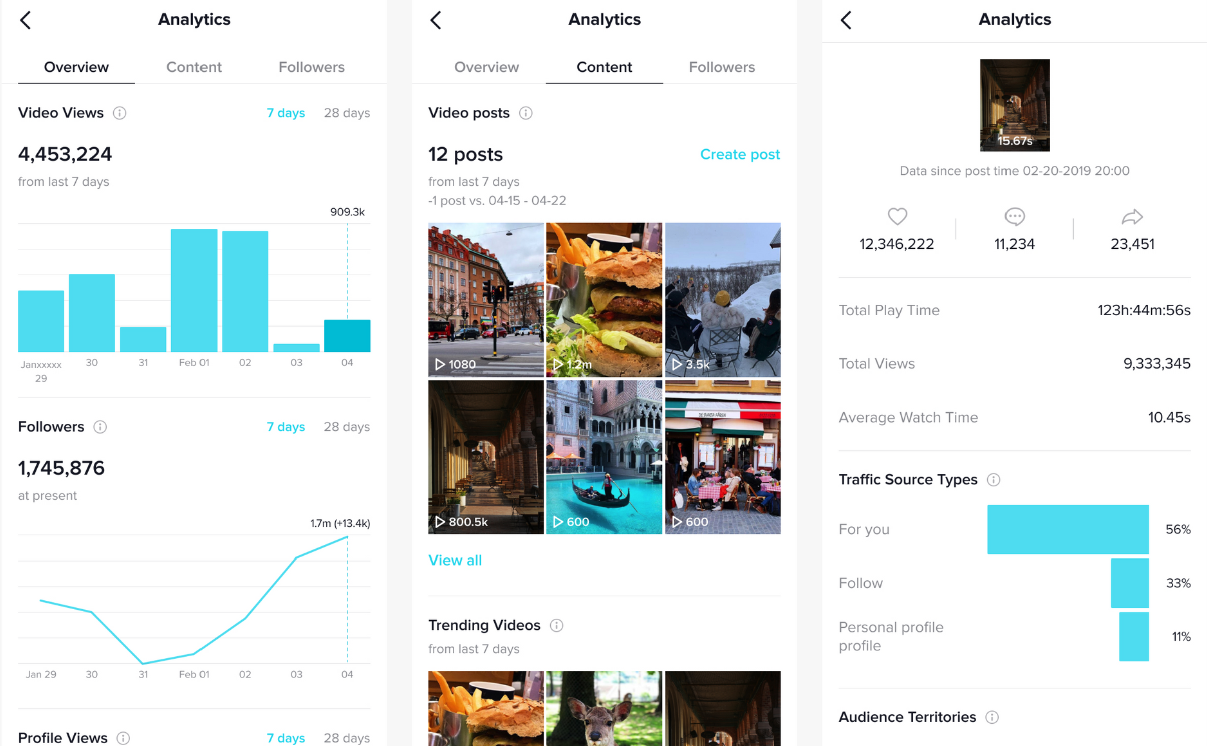 Utilize TikTok’s in-app analytics