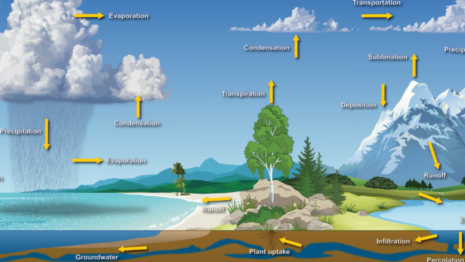 Interface of Megagrass 3D explainer video to address the benefits of artificial grass