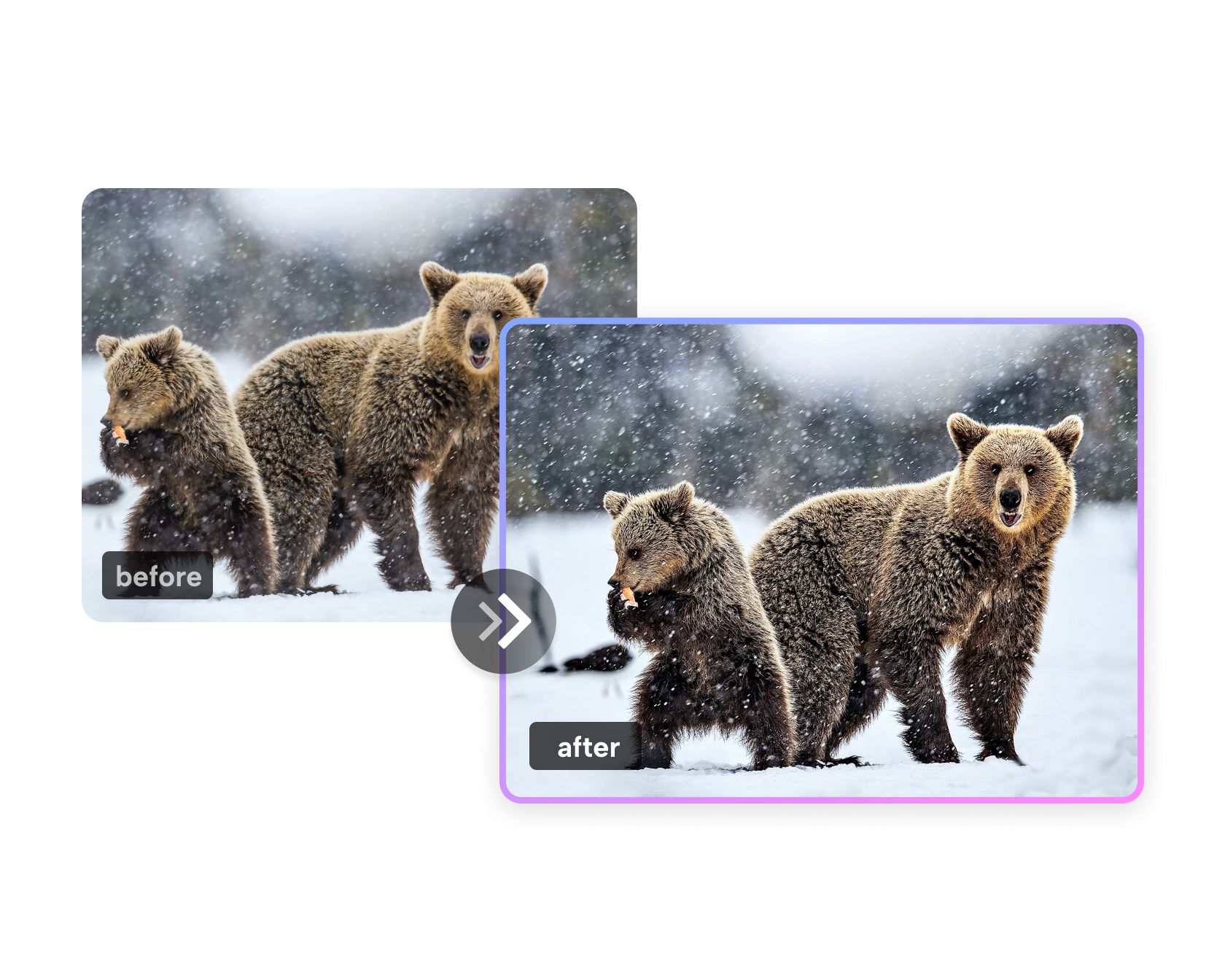 Zostřit obrázky Online