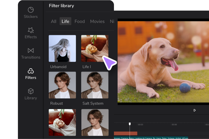 Adjust colors and visual settings