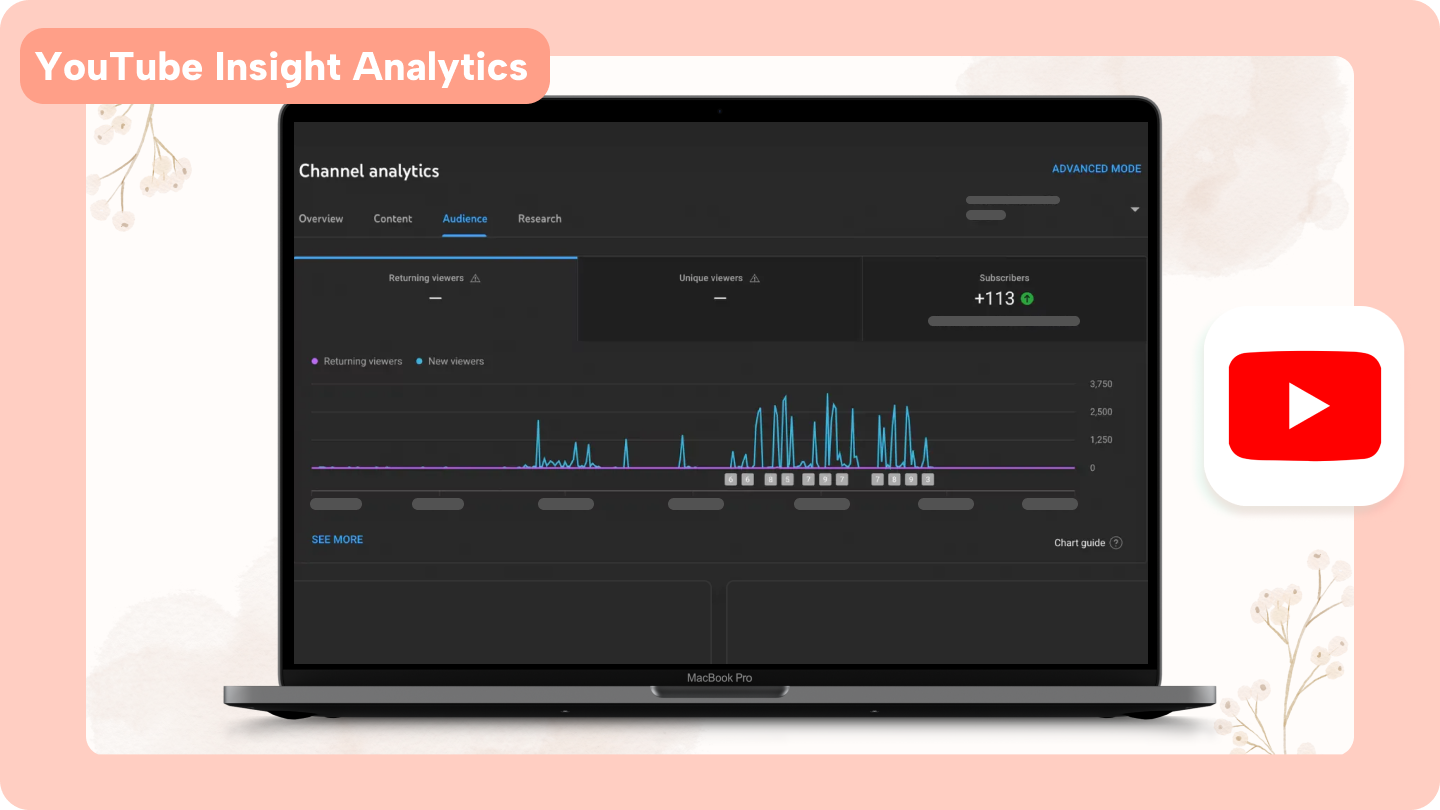 Informations sur YouTube