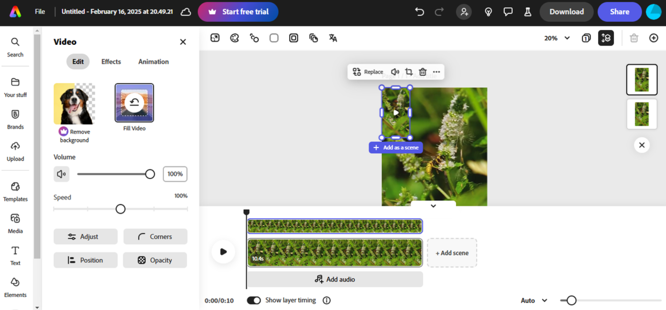 Interface of Adobe Express - the best Instagram Reel maker