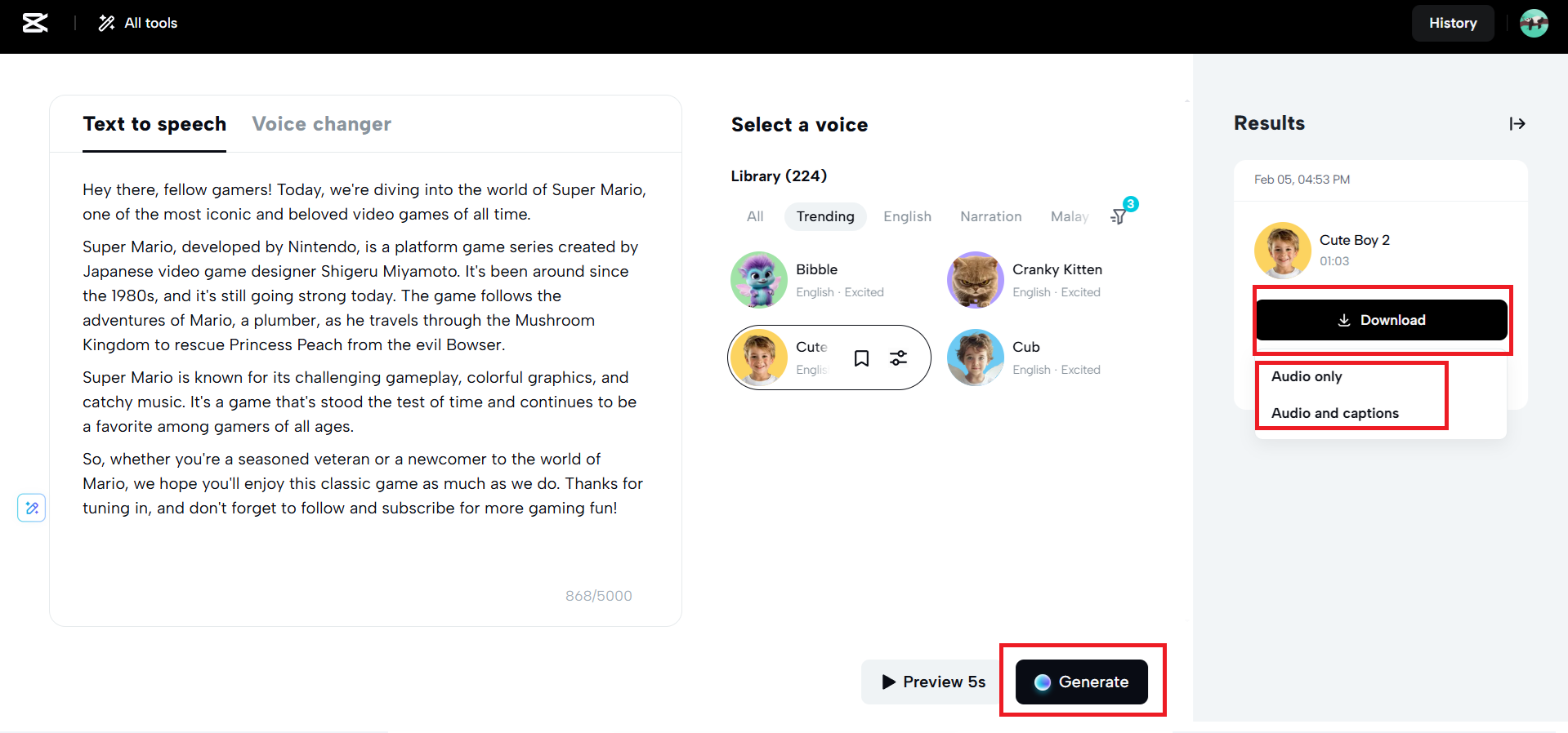 Generate and download option