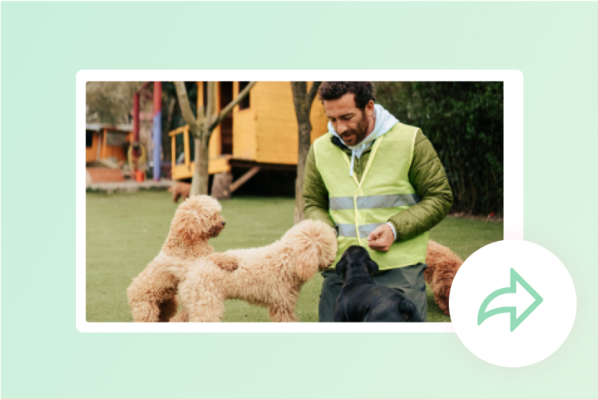 Animal welfare and advocacy