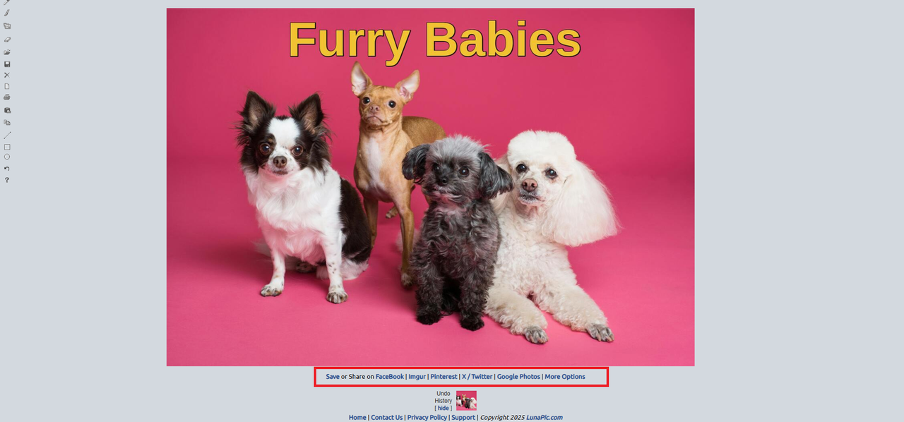 Zapisz lub udostępnij swój obraz