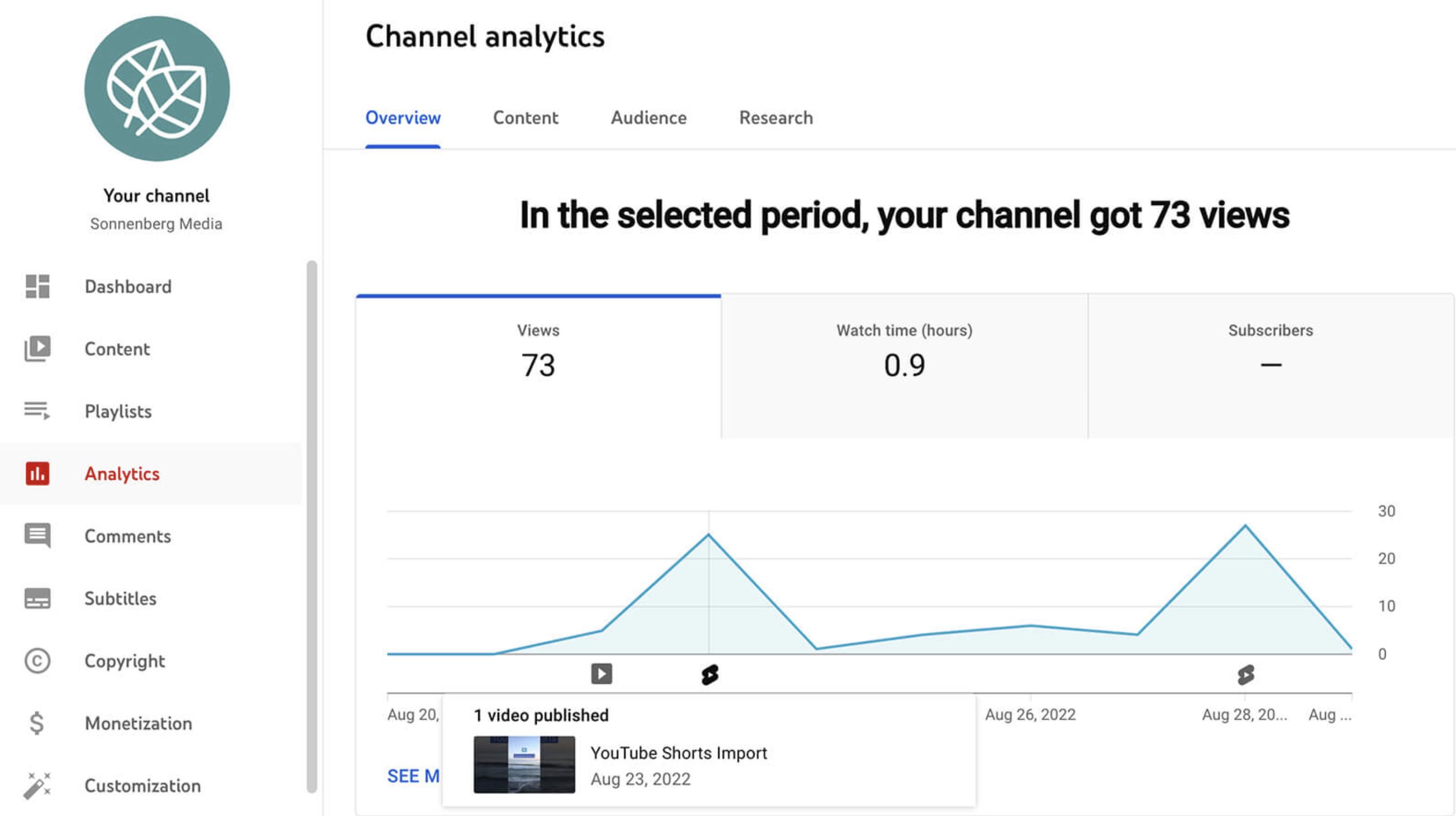 Analyze YouTube Shorts' performance