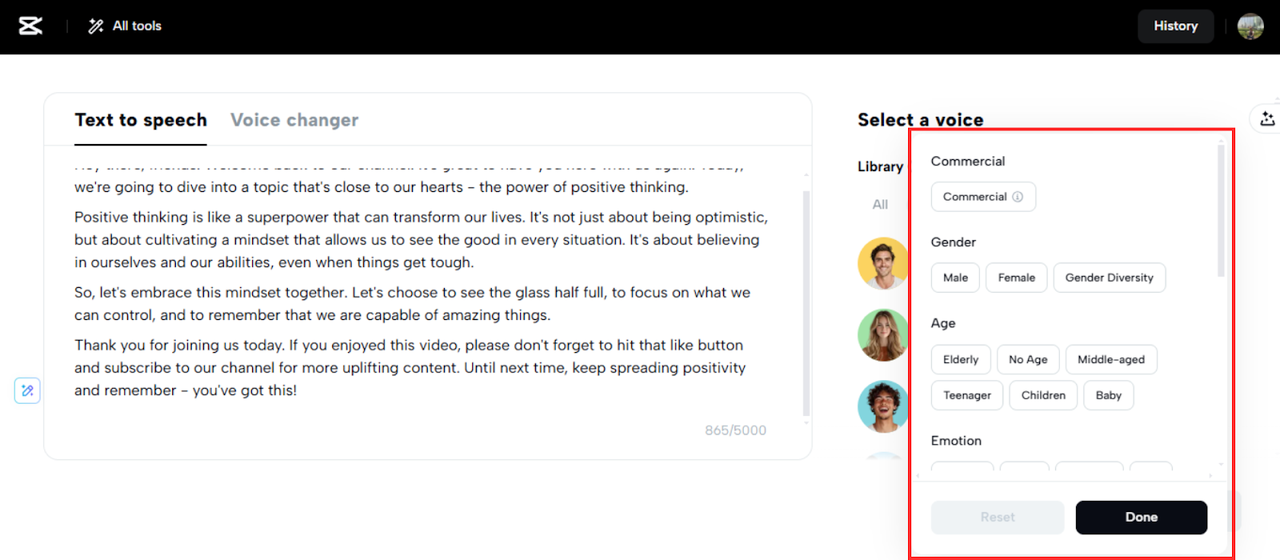 Diverse voice filters