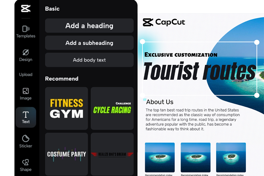 Add pages and content to the notebook
