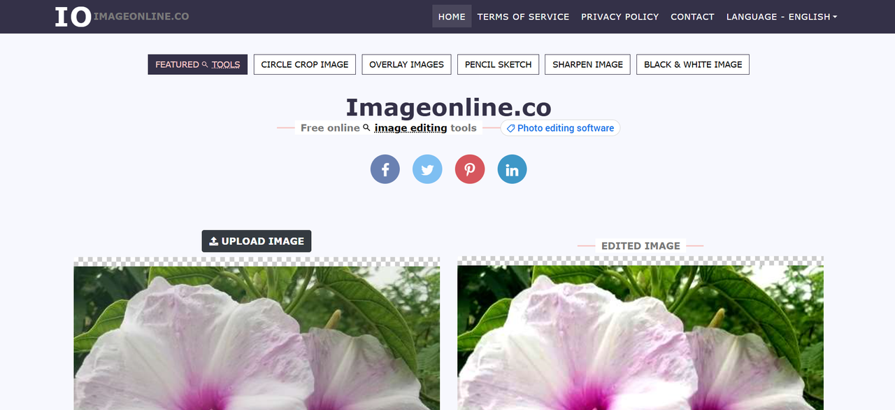 イメージOnline.coホームページ