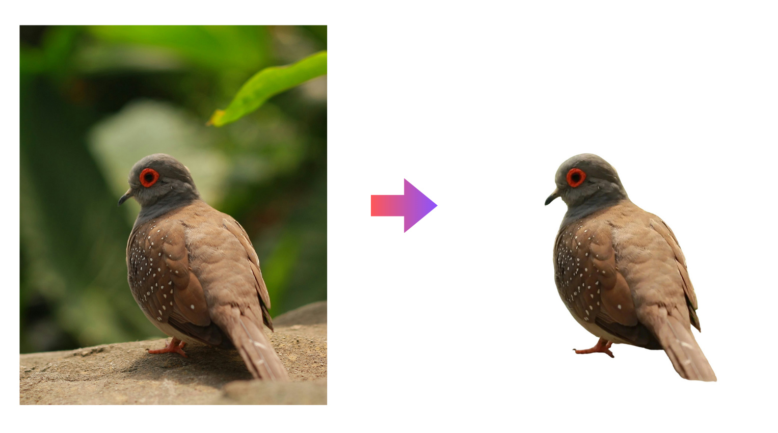 ถอดเครื่องมือ