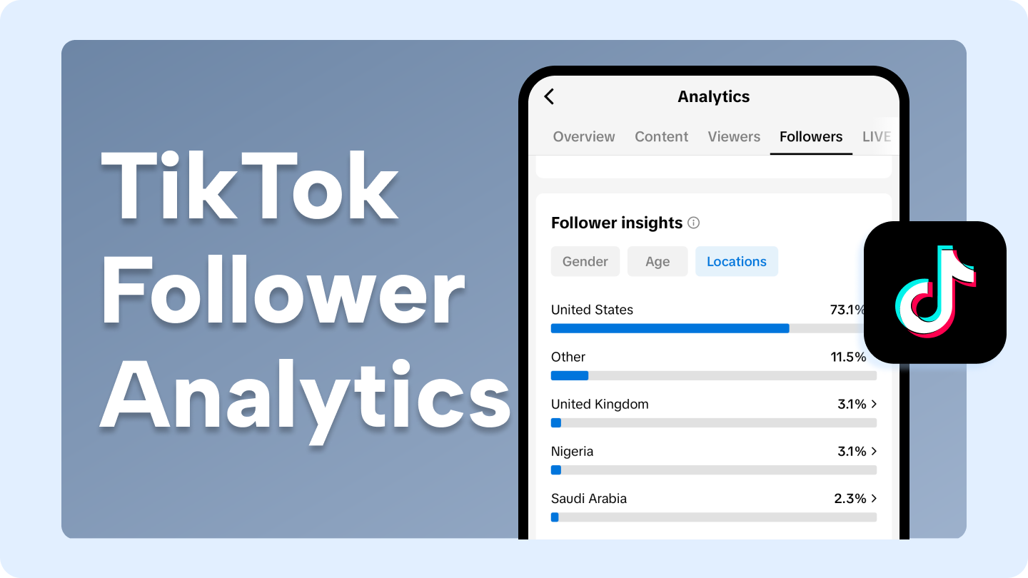 statistik pengikut tiktok