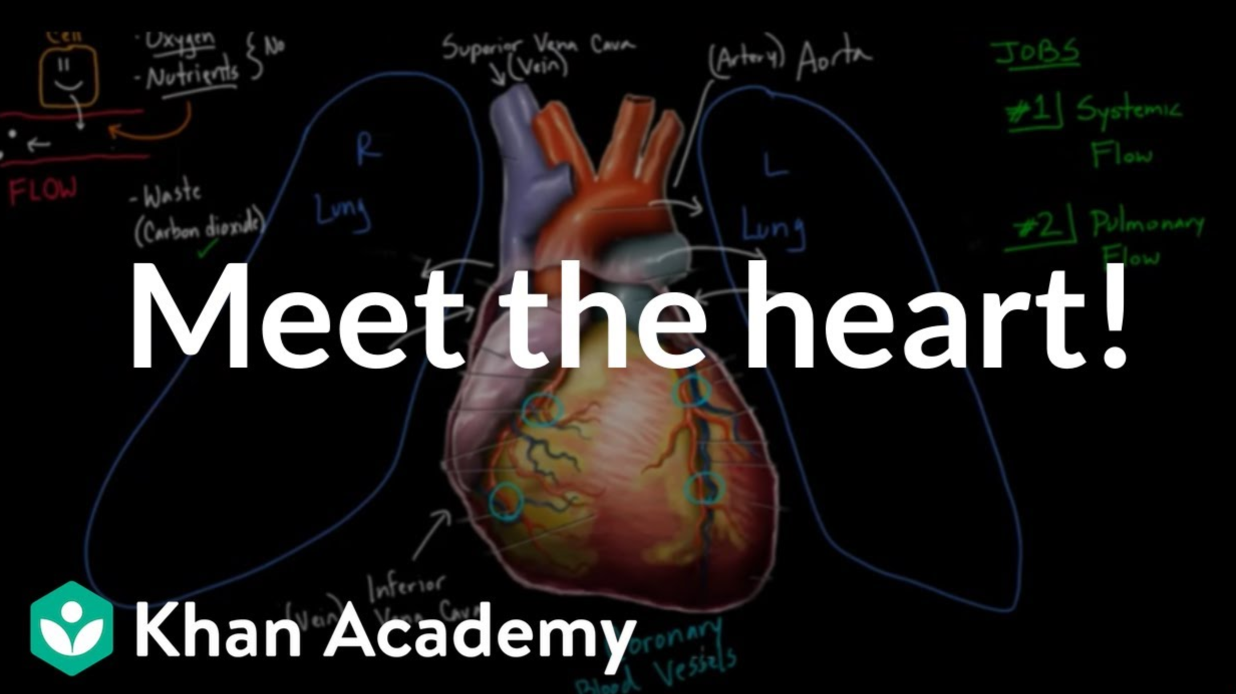 Use cases of 3D animated explainer videos-Educational content