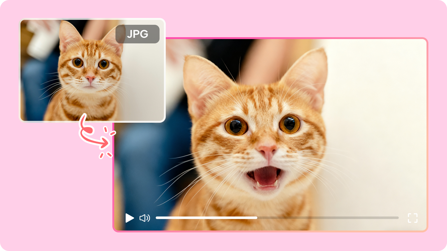 adding photo to video online